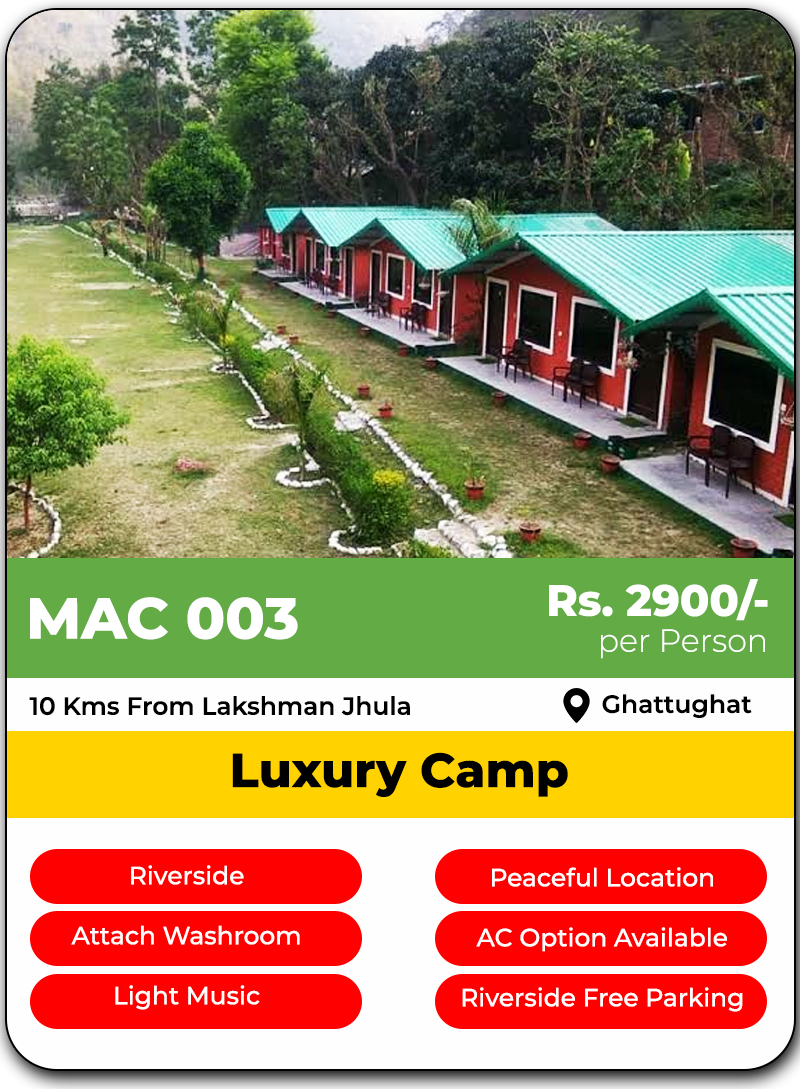 Camping in Rishikesh
